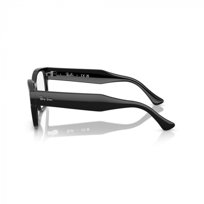 Ray-Ban 7256-8260 Laurene [2]