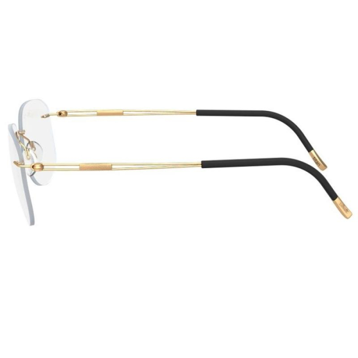 Silhouette 5521/EX-7530 [3]