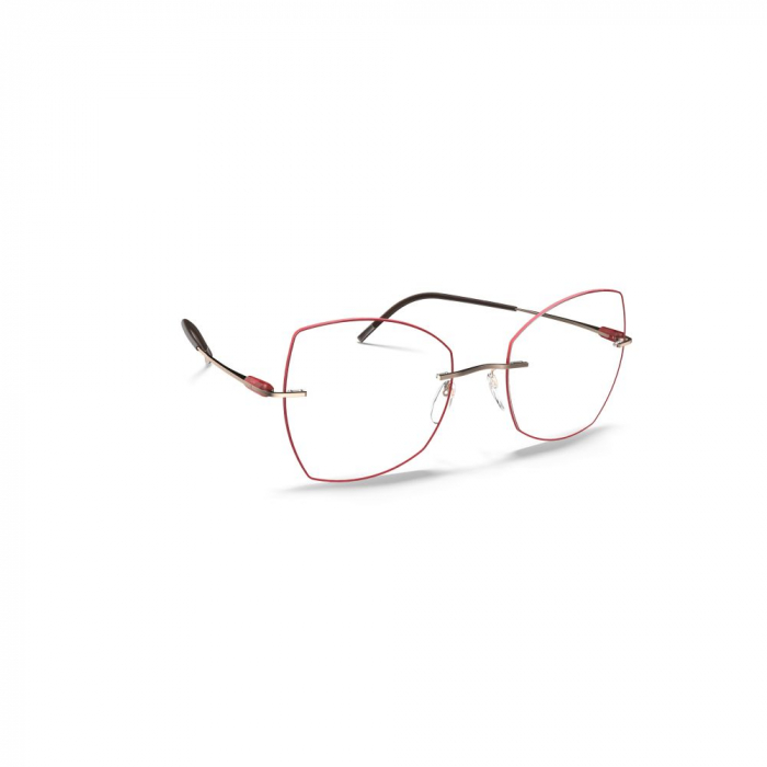 Silhouette 5561/MV-6145 [1]
