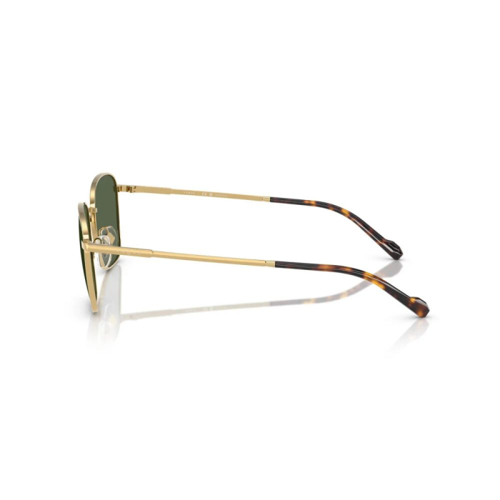 Vogue 4322S-280/9A Polarizat [2]