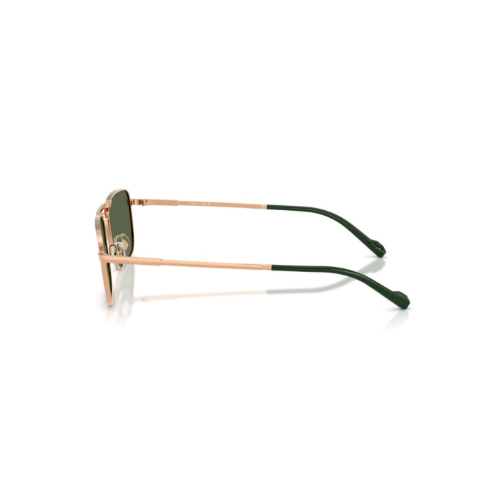 Vogue 4346S-51529A Polarizat [2]