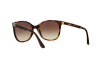 Vogue 5032S-W65613 [3]