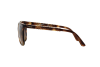 Vogue 5032S-W65613 [4]