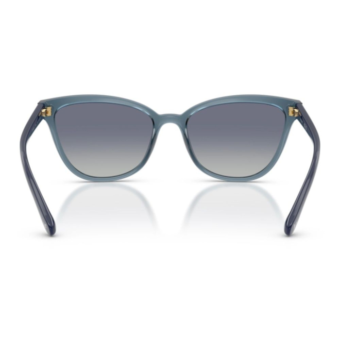 Vogue 5496SM-27644L [3]