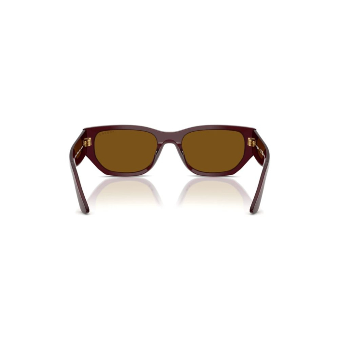 Vogue 5586S-328483 Polarizat [3]