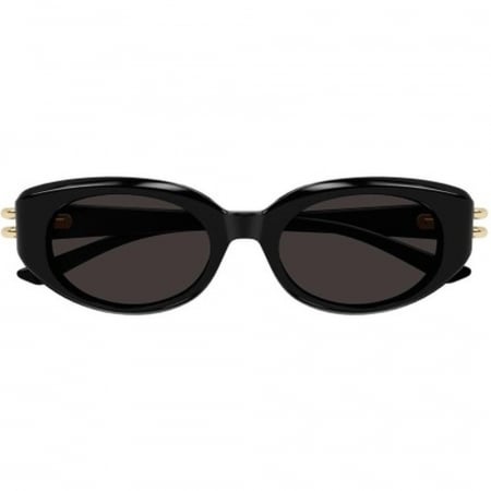 Alexander McQueen 0469S-001 [1]