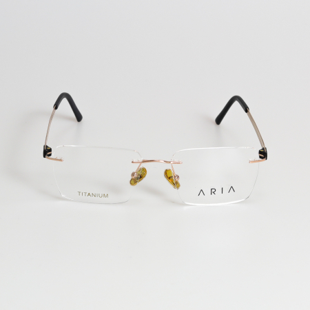 Aria 021-2 Titan [1]
