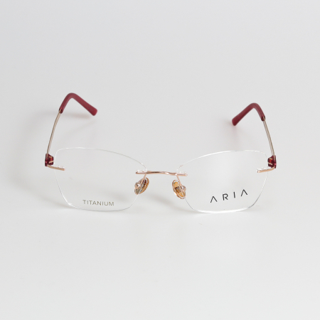 Aria 022-4 Titan [1]