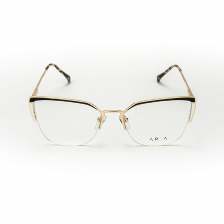 Aria 1125-C1 [1]