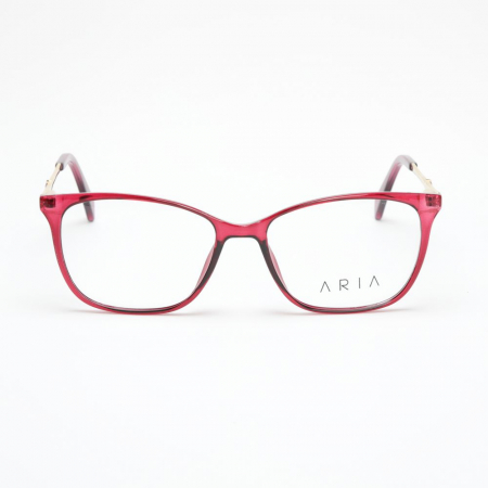 Aria 1207-C4 [1]
