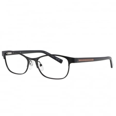RAME DE VEDERE - Armani Exchange 1010-6000