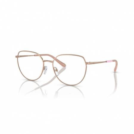 RAME DE OCHELARI - Armani Exchange 1056-6103