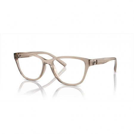 RAME DE VEDERE - Armani Exchange 3111U-8344