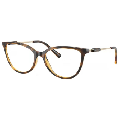 RAME DE OCHELARI - Armani Exchange 3128-8213