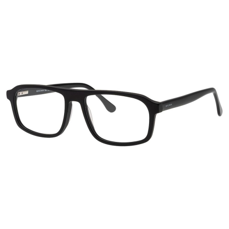 RAME DE VEDERE - Bergman 4309-3