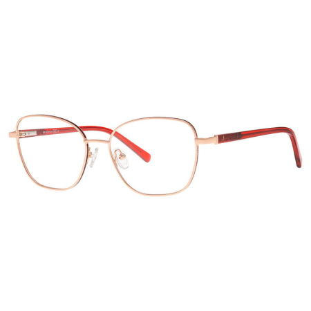 RAME DE VEDERE - Bergman 4508-10