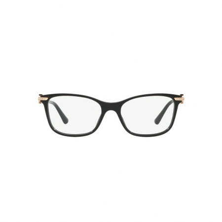 BvlgarI 4173B-501 [1]