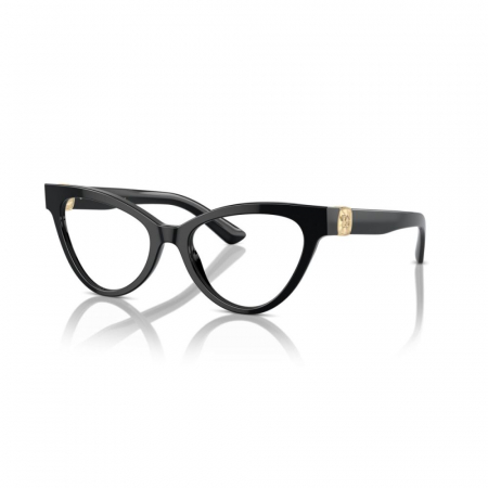 RAME DE VEDERE - Dolce&Gabbana 3394-501