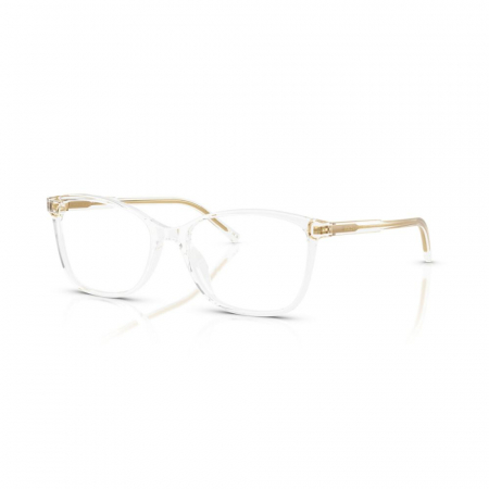 RAME DE VEDERE - Dolce&Gabbana 3424-3133