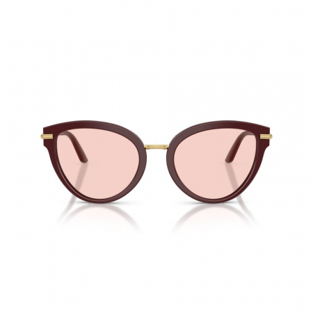 Dolce&Gabbana 4492-3091P5 [1]