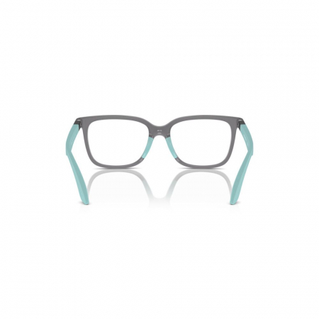 Emporio Armani 3006-6134 Junior [3]