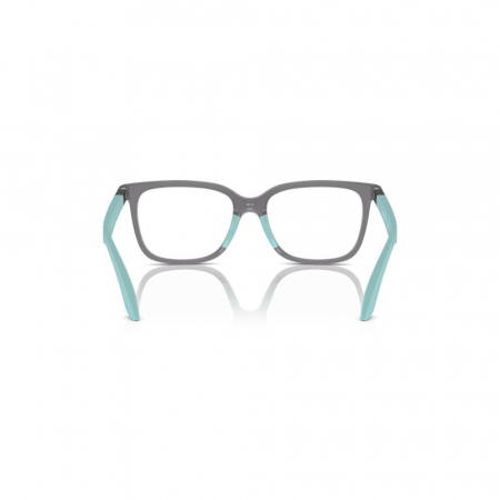 Emporio Armani 3006-6134 Junior [3]