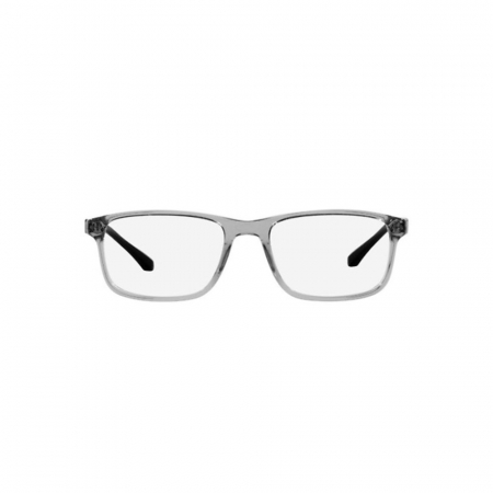 Emporio Armani 3098-5029 [1]