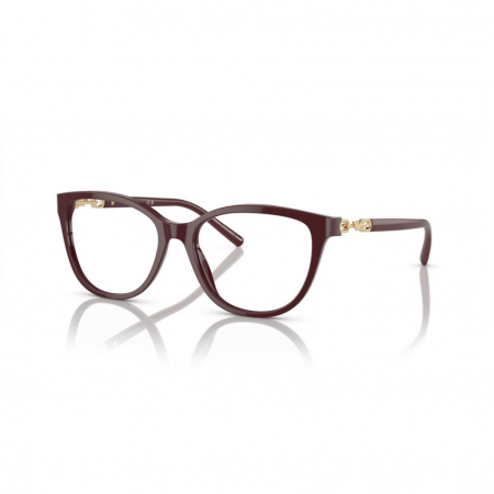 RAME DE OCHELARI - Emporio Armani 3190-5576
