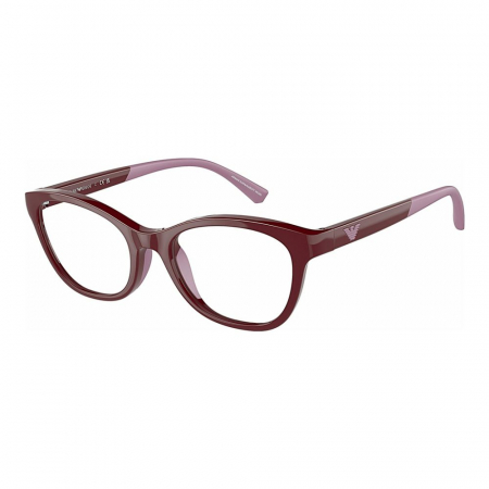 RAME DE VEDERE - Emporio Armani 3204-5077 Junior