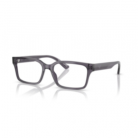 RAME DE VEDERE - Emporio Armani 3244-6106