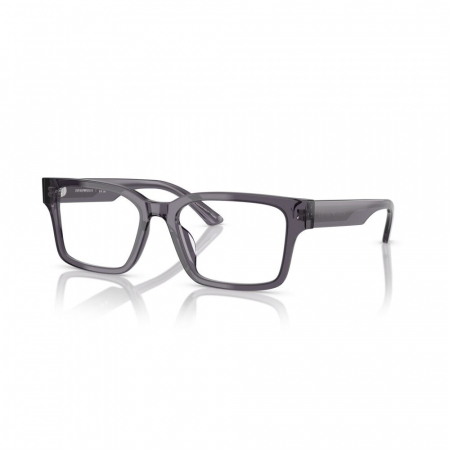 RAME DE VEDERE - Emporio Armani 3245U-6106