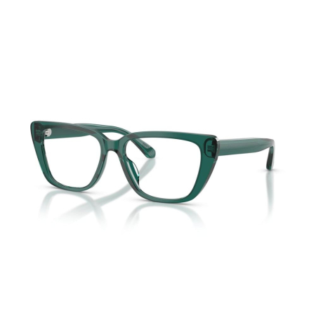 RAME DE VEDERE - Emporio Armani 3256U-6252