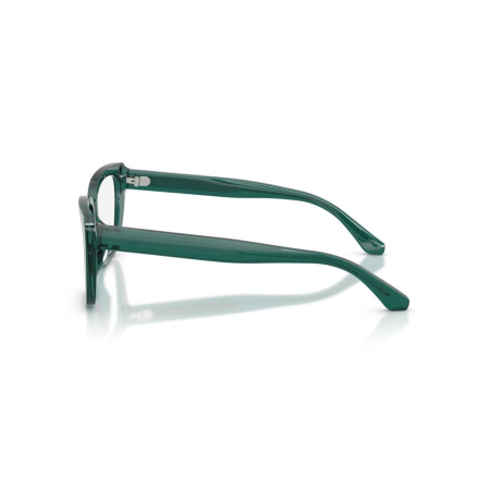 Emporio Armani 3256U-6252 [1]