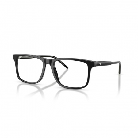 RAME DE VEDERE - Emporio Armani 3257-5017