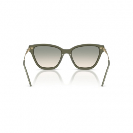 Emporio Armani 4251-62642C [3]