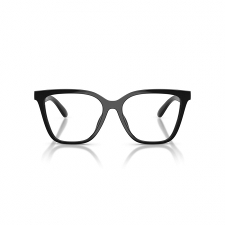 Emporio Armani 4254U-50171W Clip On [1]