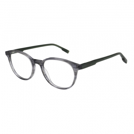 RAME DE VEDERE - Hackett 1349-980