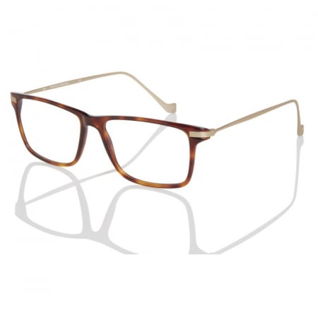 OCHELARI DE VEDERE - OCHELARI DE VEDERE Hackett 174-100