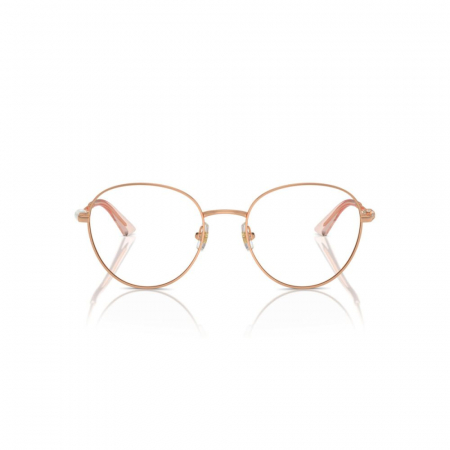 Jimmy Choo 2004HB-3008 [1]