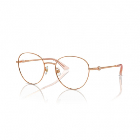RAME DE VEDERE - Jimmy Choo 2004HB-3008