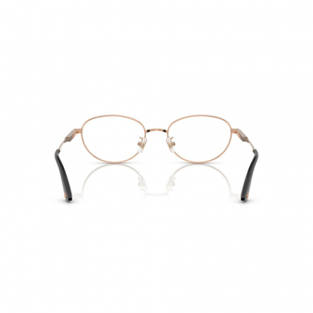Jimmy Choo 2009D-3022 [3]