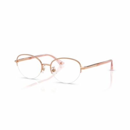 RAME DE VEDERE - Jimmy Choo 2014D-3008
