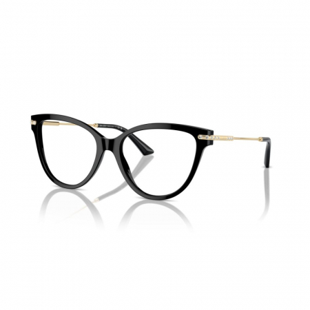 RAME DE VEDERE - Jimmy Choo 3001B-5000