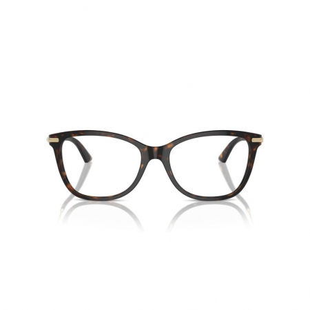 Jimmy Choo 3007HB-5002 [1]