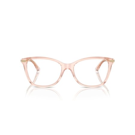 Jimmy Choo 3007HB-5034 [2]
