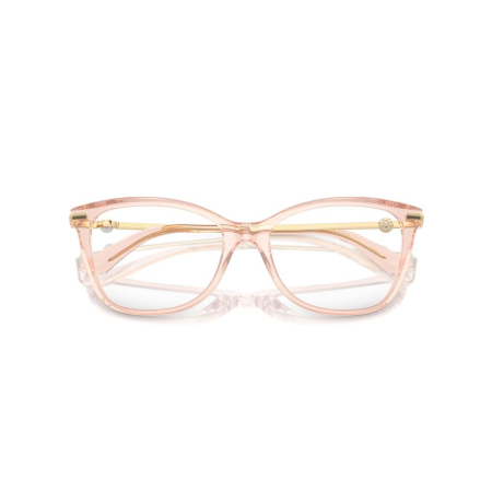 Jimmy Choo 3007HB-5034 [3]
