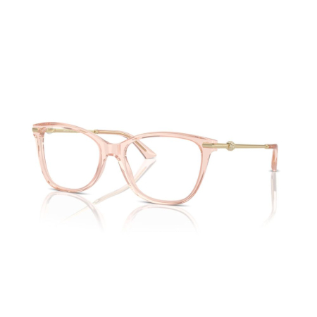 RAME DE VEDERE - Jimmy Choo 3007HB-5034