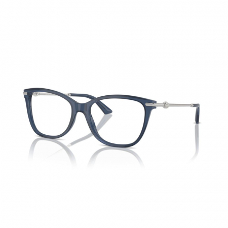 RAME DE VEDERE - Jimmy Choo 3007HB-5035