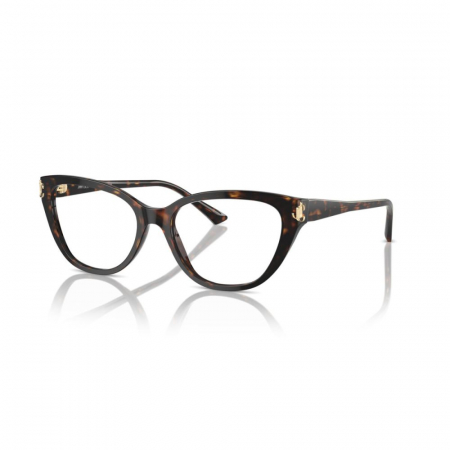 RAME DE VEDERE - Jimmy Choo 3011-5002