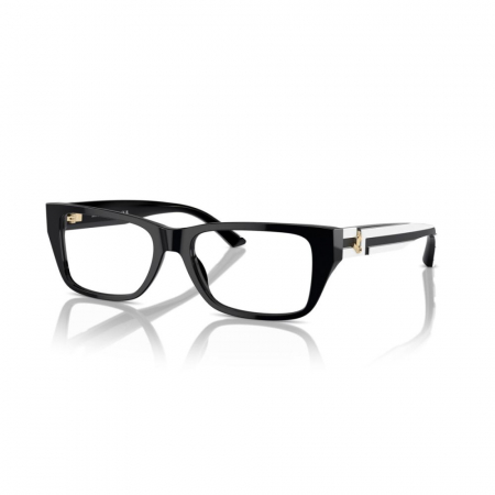 RAME DE VEDERE - Jimmy Choo 3016-5017